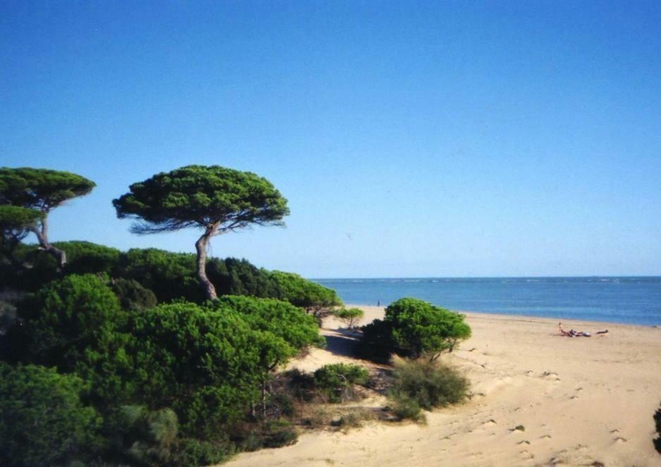 Atico Del Portil Apartment Luaran gambar